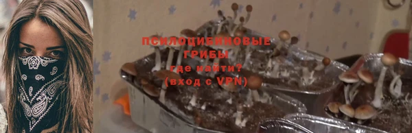 мдпв Новодвинск