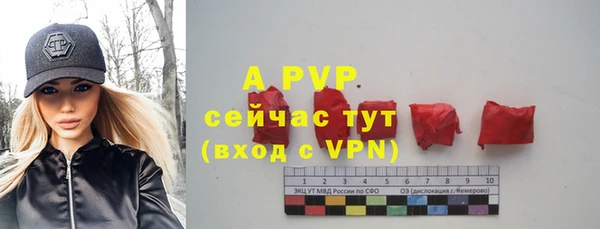 гашик Новокубанск