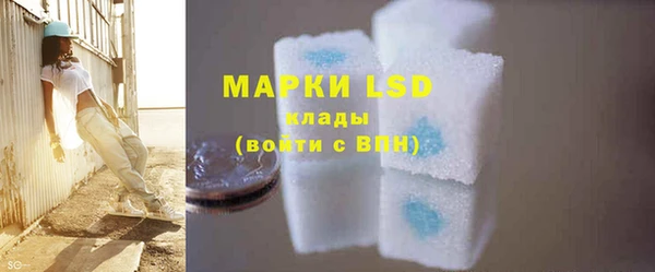 дурь Грязовец