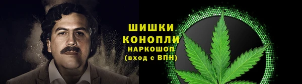 мдпв Новодвинск
