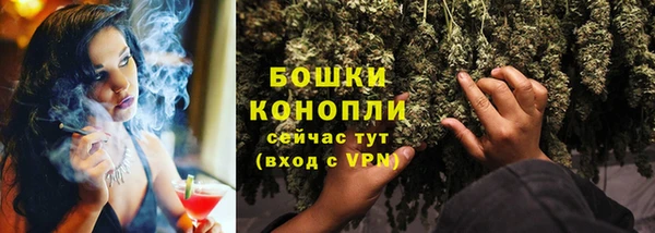гашик Новокубанск