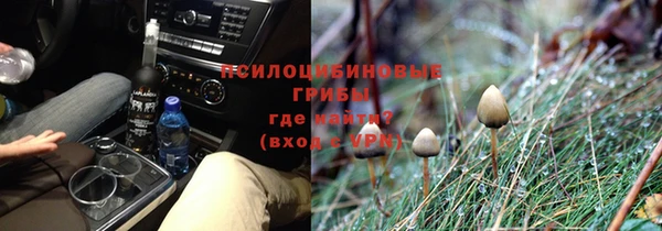таблы Губаха